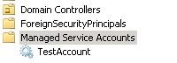 managed service account