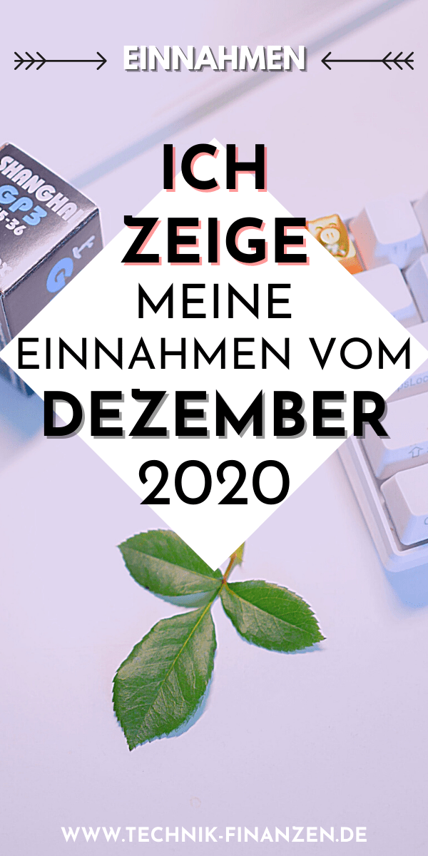 Einnahmen Dezember 2020