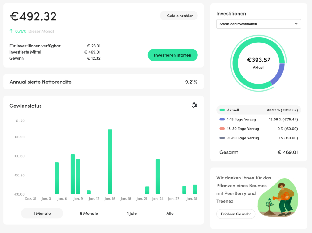 Peerberry Auswertung Januar 2024